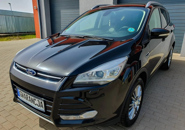 Ford Kuga cena 48500 przebieg: 176484, rok produkcji 2014 z Czerniejewo małe 781